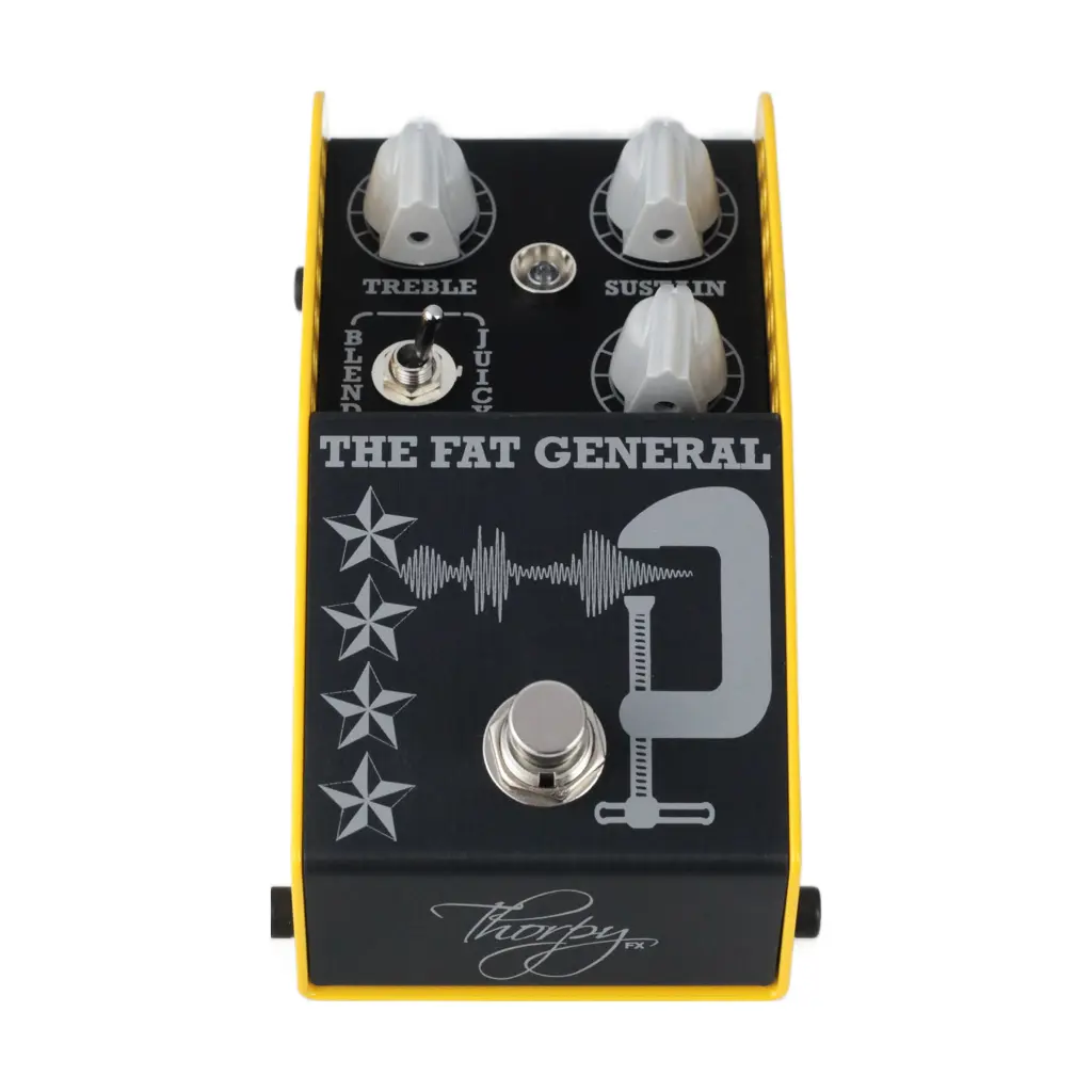 Thorpy_FatGeneral_STOCK_4 copy.webp