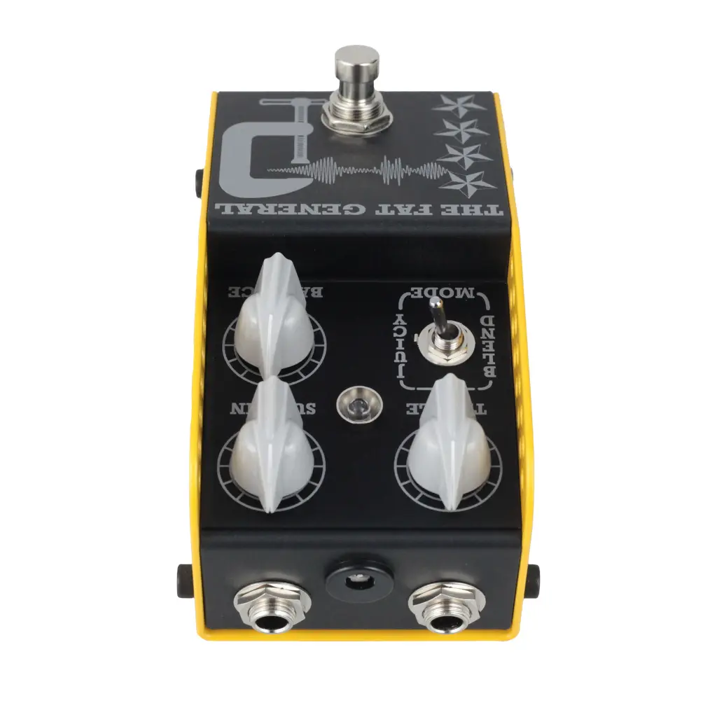 Thorpy_FatGeneral_STOCK_5 copy.webp